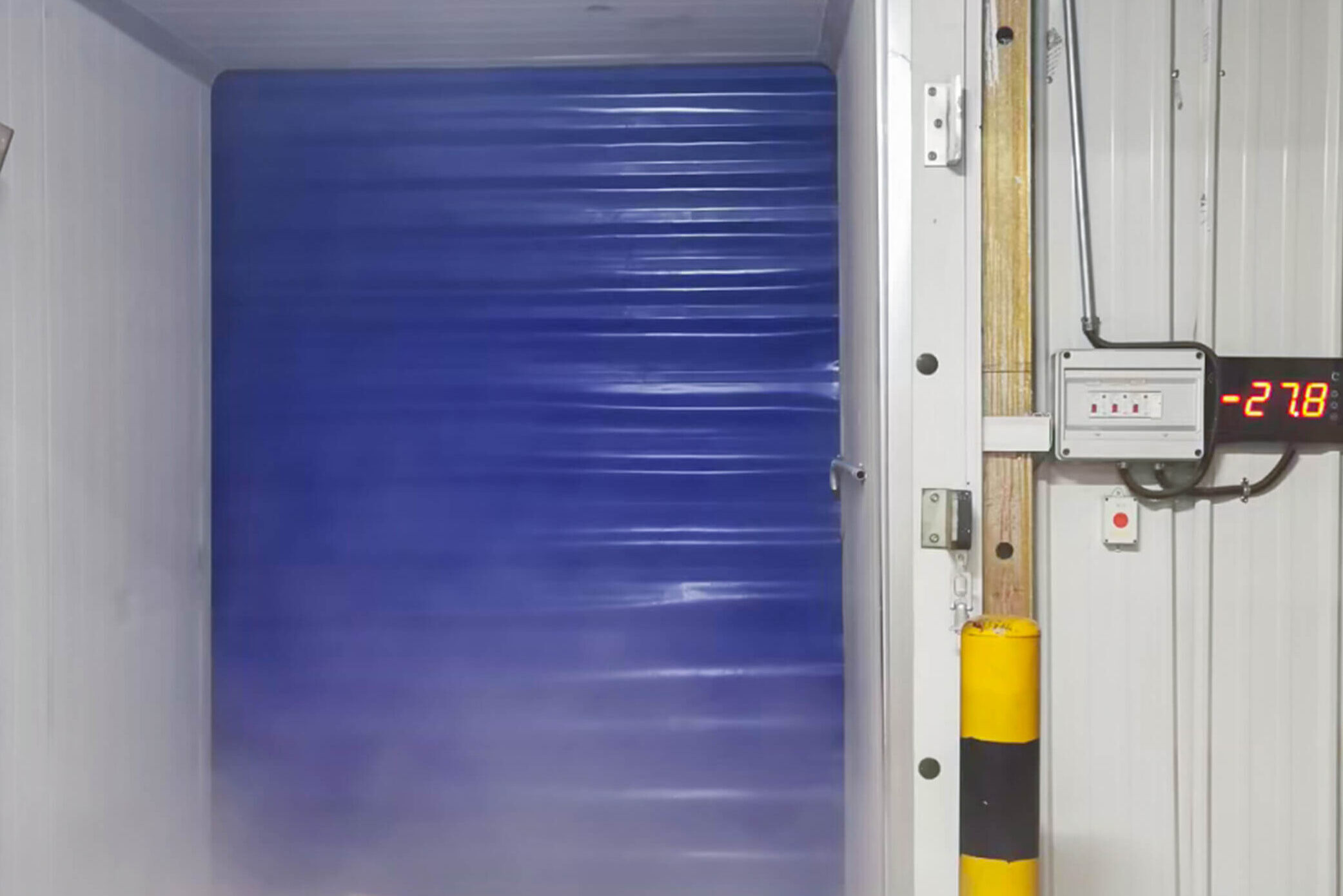 freezer speed door case